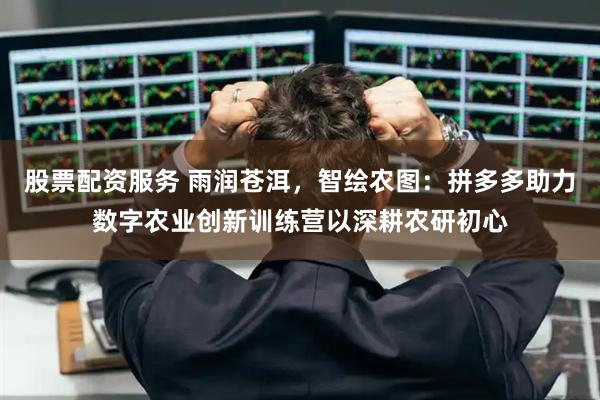 股票配资服务 雨润苍洱，智绘农图：拼多多助力数字农业创新训练营以深耕农研初心