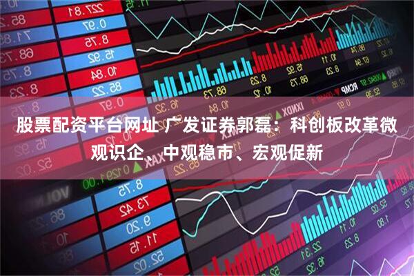 股票配资平台网址 广发证券郭磊：科创板改革微观识企、中观稳市、宏观促新