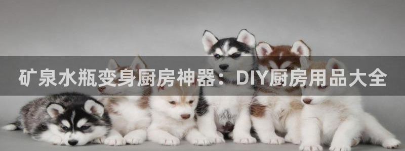 鸿运国际hv登录入口|矿泉水瓶变身厨房神器：DIY厨房用品大全